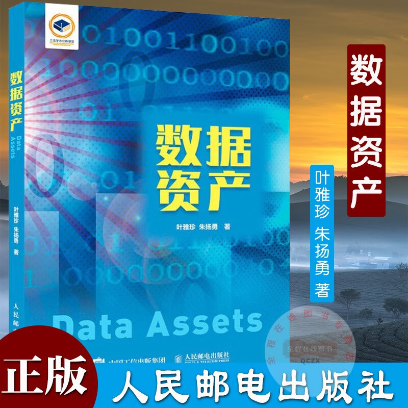 数据资产 叶雅珍 朱扬勇 著 人民邮电出版社