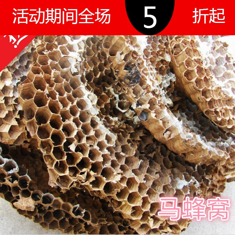 马蜂窝野蜂窝露蜂房100g 大黄蜂胡蜂灸蜂房干蜂巢 蚂蜂窝新货 马蜂窝