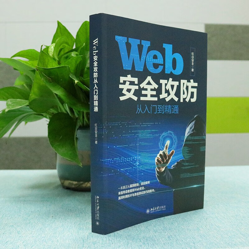 Web安全攻防从入门到精通 提高Web安全漏洞利用技术与渗透测试技巧详情图