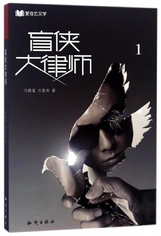 盲侠大律师(1)