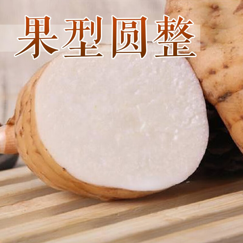 百年云松云南新鲜天麻2025 小草坝天麻 只挑大个天麻 营养滋补秋冬进补  新鲜天麻8-10个大果 1000g