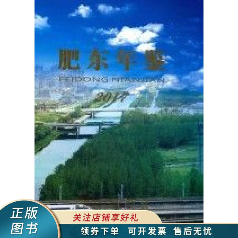 肥东年鉴