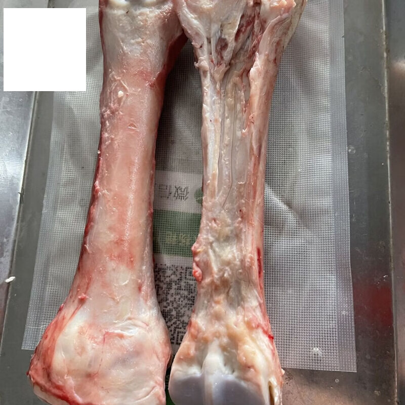 虎钢馋马小腿骨头1斤左右 马前腿骨 马大骨新鲜生马肉生大骨腿骨棒骨