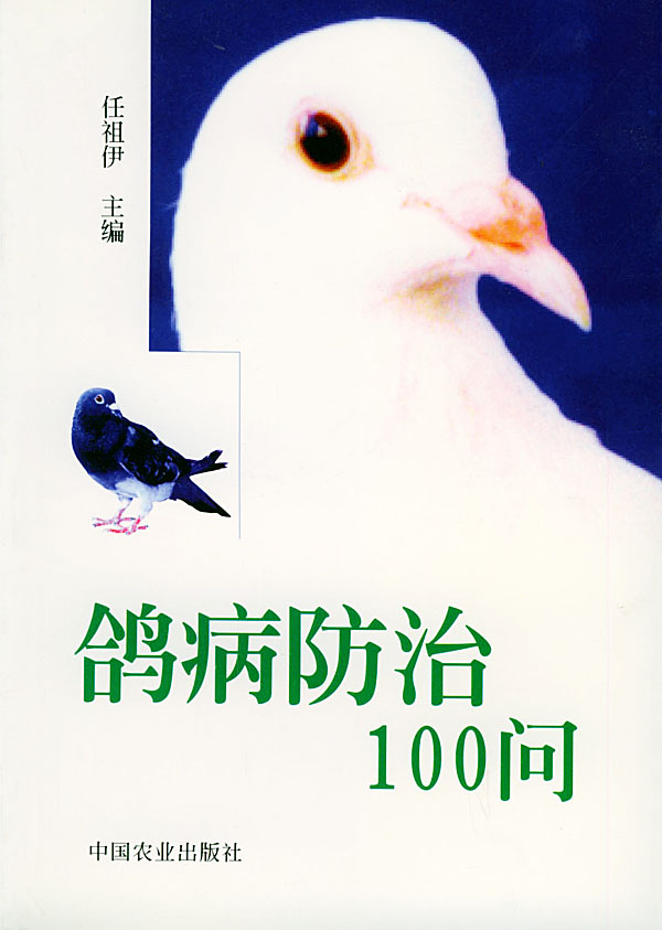 鸽病防治100问 任祖伊 主编 9787