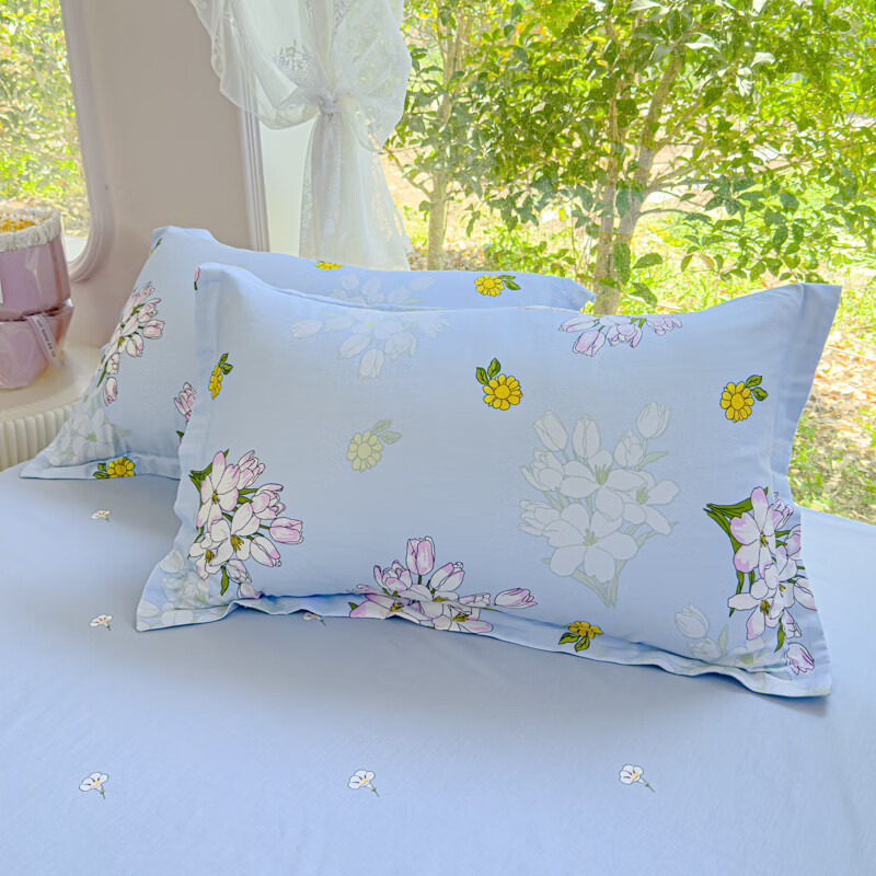 多喜愛(ài)（Dohia）純棉枕套單只一對(duì)裝48X74cm全棉家用加大枕頭套卡通兒童枕芯套 菲頌 48*74cm/只