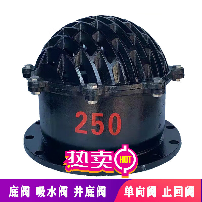 鼎思顿H42X-6法兰底阀 单向阀止回阀 铸铁水泵底阀DN50 80 100 150 200 DN150国标10公斤