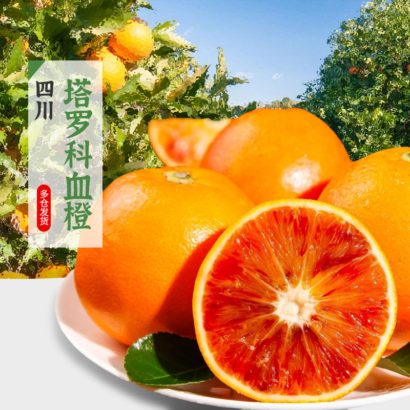 四川塔罗科血橙新鲜水果橙子 中果 5斤