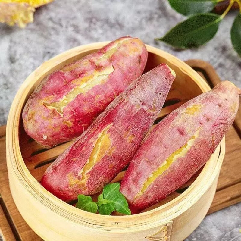 【精选直发】新鲜红薯超甜板栗薯番薯农家自种蔬菜小香薯沙地蜜薯 2斤 小果