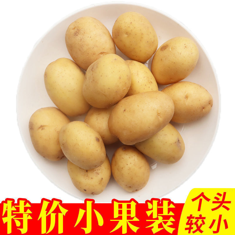 【精选生鲜】【板栗土豆】粉糯土豆现挖马铃薯奶油爆皮马铃薯新鲜大土豆5/10斤 2斤小果