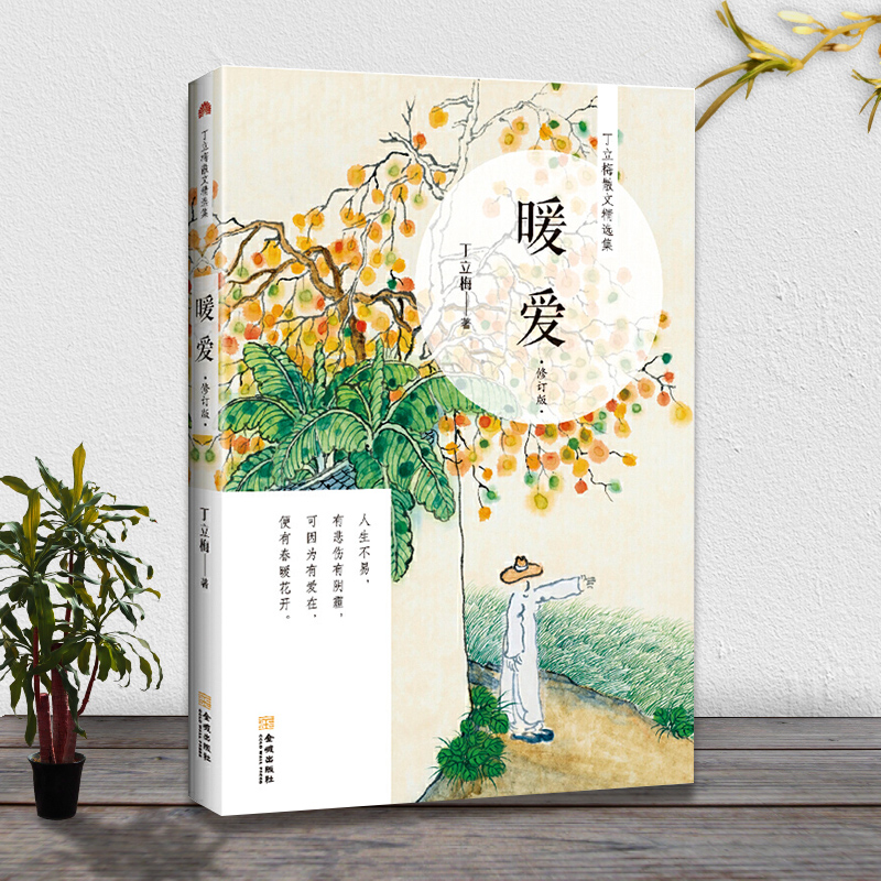 正版包邮 暖爱 丁立梅经典作品书籍 老师 图书 作家丁立梅精品十年