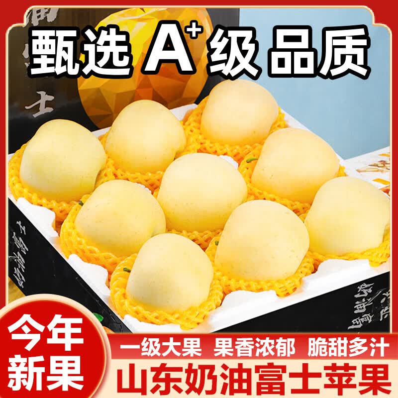 京橙美锦正宗山东黄金奶油富士苹果糖心特产栖霞水果新鲜当季现摘整箱 带箱9.5-10斤果王【10-15枚】 京东折扣/优惠券