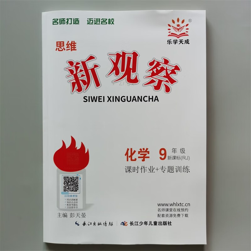 思维 新观察九年级 上册化学