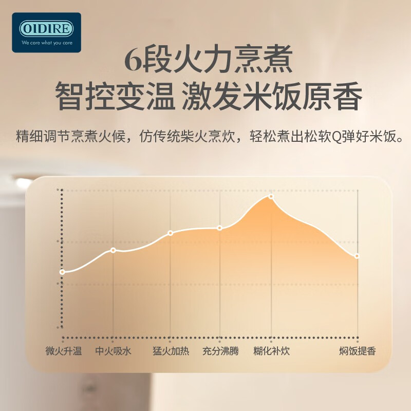 OIDIRE 德国OIDIRE 电饭煲 电饭锅迷你电饭煲家用电饭煲小型电饭煲多功能智能小电饭煲2升球釜预约2-3人 ODI-MFB25 智能电饭煲