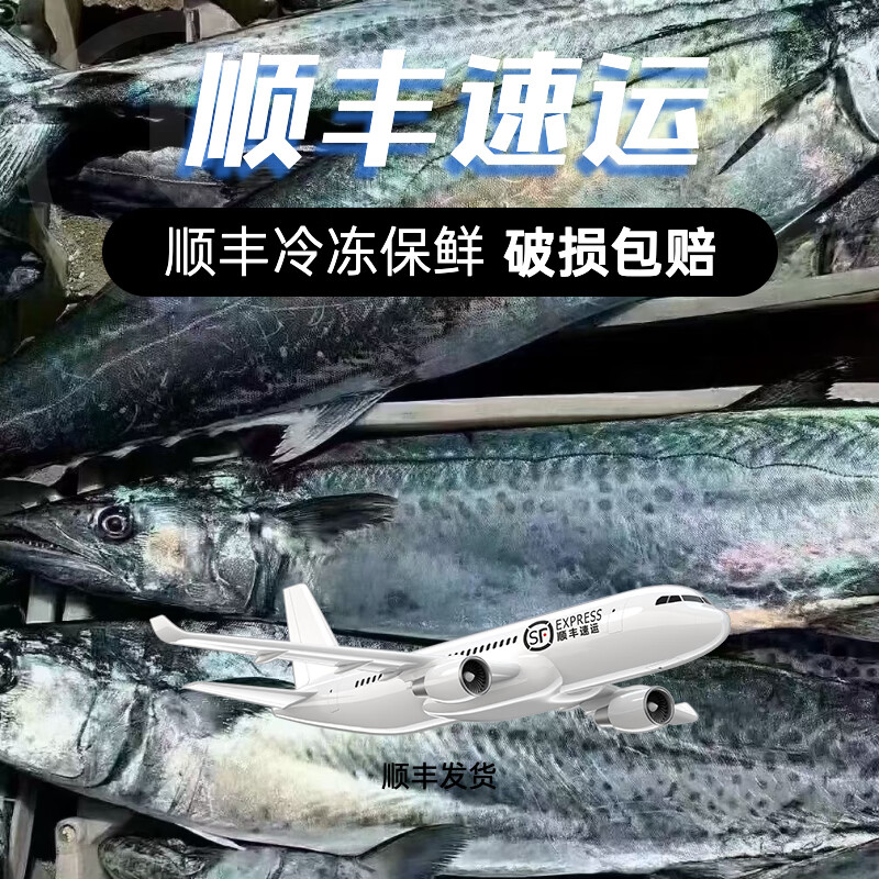 青岛原产地大鲅鱼蓝点马鲛鱼冷冻肉厚鲜嫩顺丰冷链包邮 整条9-9.5斤