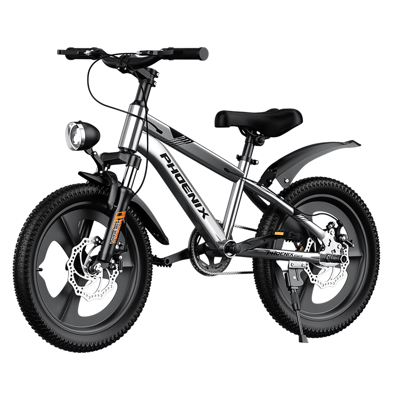 ���ڲ�����Phoenix ��ͯ���г� 22�� ����,������