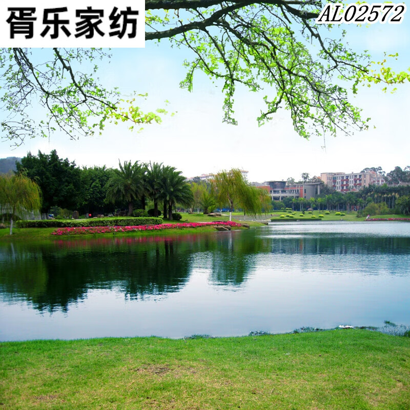 胥乐（XULE）直播背景图大气网红男女主播布风景山水农村砖房3d间外景快手视频 银色 2572下拉选尺寸 1.8x2m怎么样,好用不?