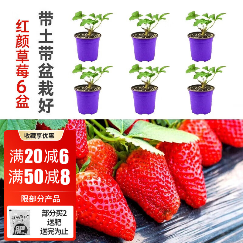 近期蔬菜类的价格走势|蔬菜类价格比较