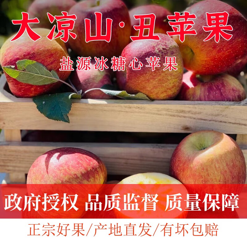 [盐源助农馆]盐源苹果大凉山丑苹果冰糖心苹果脆甜多汁新鲜采摘 净重8斤装中大果(75-80mm)