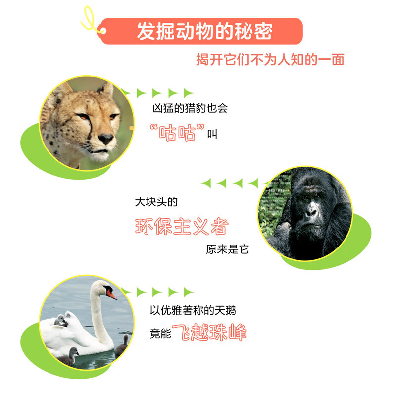 动物大百科 给孩子的课外阅读科普绘本  精装共3册详情图
