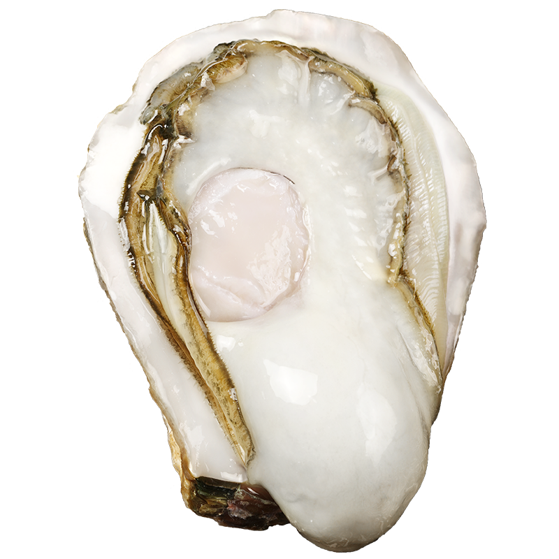 鲤赞庄园是您享受高品质贝类海鲜的最佳选择，价格稳步上升|查京东贝类往期价格App