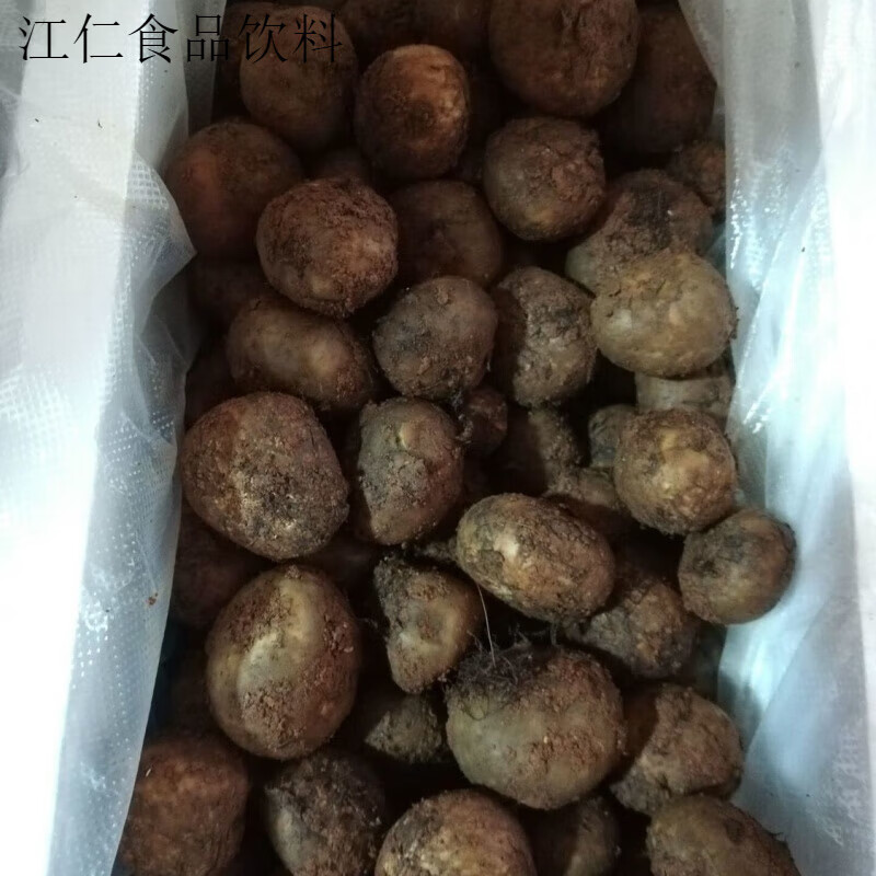 盘中玉云南新鲜菌马皮泡 地馒头马勃地轱辘地滚子 1斤(500克)