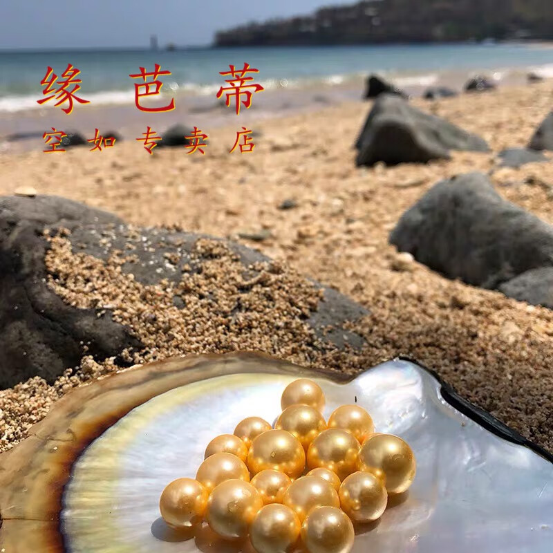 大河蚌寄蚌自己开南洋金珠珍珠裸珠diy项坠 高品金珠南洋金蝶贝一个