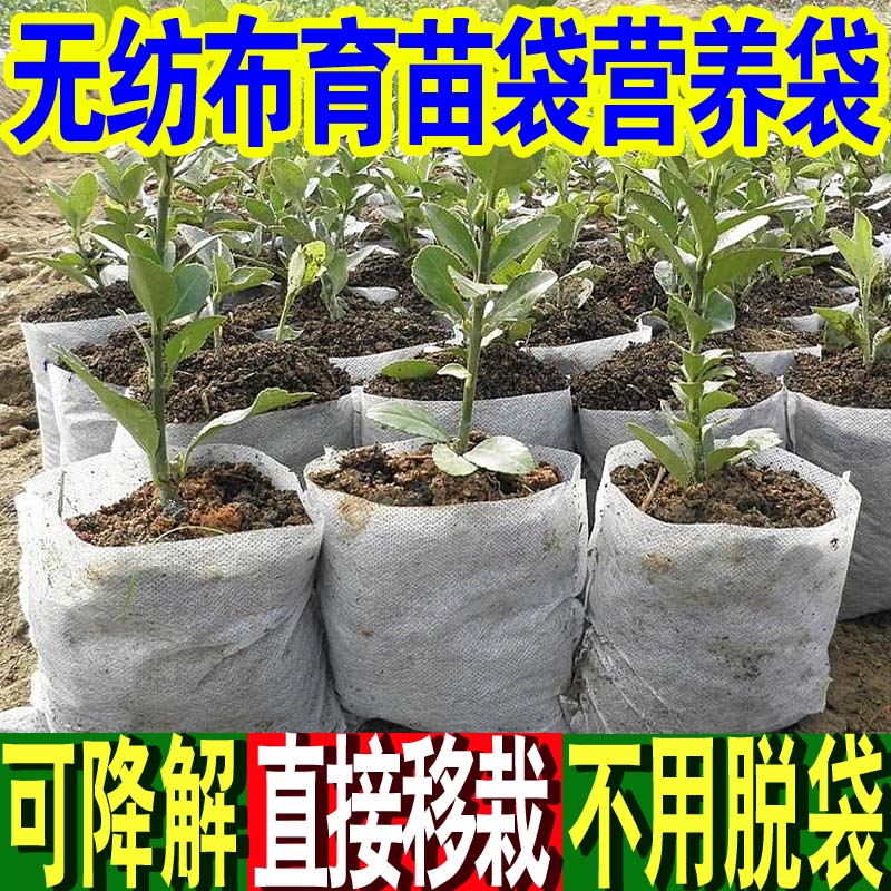 白色可降解一次性加厚无纺布育苗袋果树种植营养钵育苗花盆营养杯 装土后直径7x高10(500个) 装土前12x14