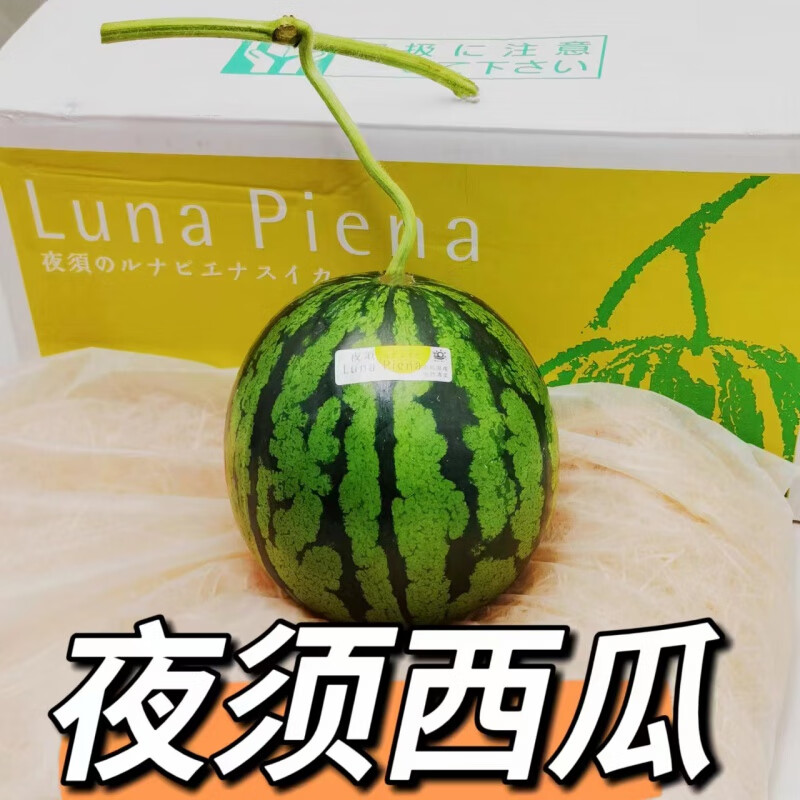 日本夜须西瓜品种高知麒麟瓜顺丰1颗装 2500g 2500g