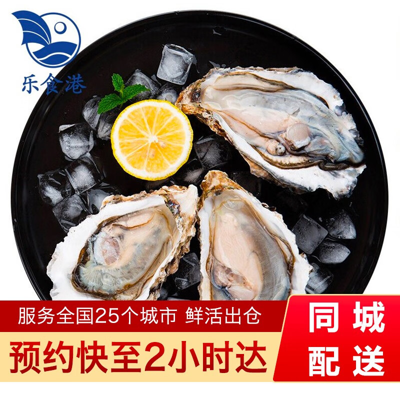 【包活】乐食港 乳山生蚝5斤装鲜活大个 牡蛎新鲜海蛎子贝类 XXXL号（5斤）约10-12个--推荐--
