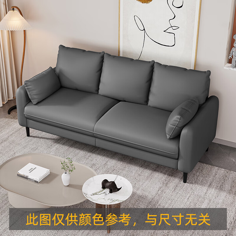 安佚小户型科技布沙发双人3人位客厅2米小型简约现代三人公寓北欧两米