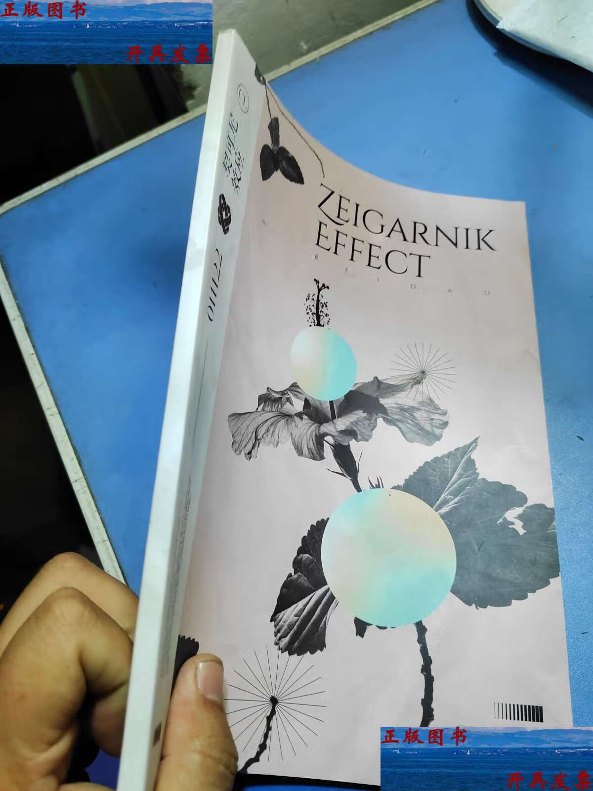 【二手9成新】契可尼效应 /不详 不详