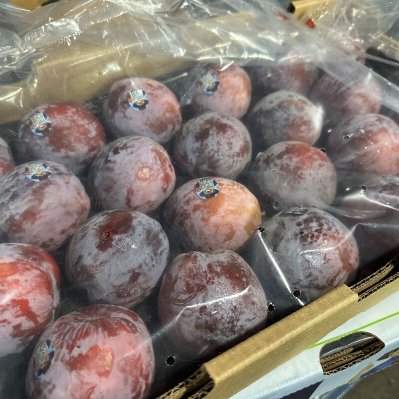 现货进口鸵鸟蛋大李子李纯甜多汁当季新鲜孕妇水果脆甜2斤起 2斤