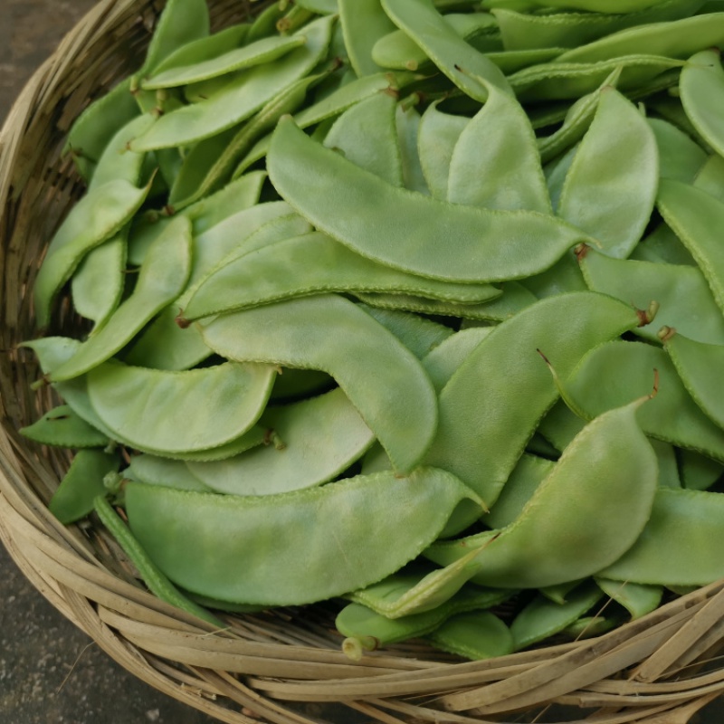 虎钢馋白扁豆梅豆角青眉豆月儿菜安徽六安霍山农家新鲜蔬菜扁豆 500g