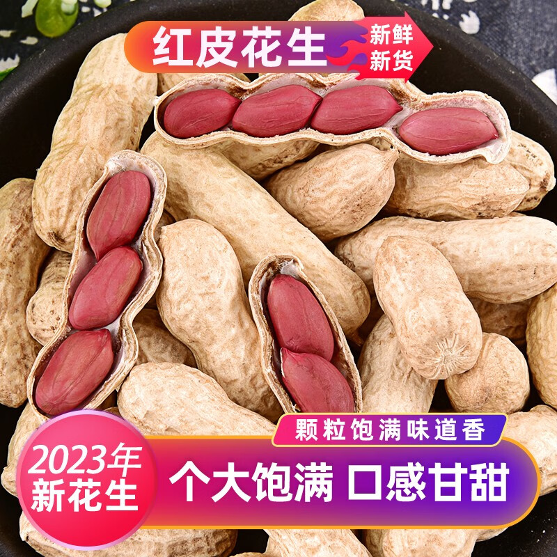 苏花2023年红皮生花生500克带壳生的红花生果四粒花生果农家花生 生红花生 3斤