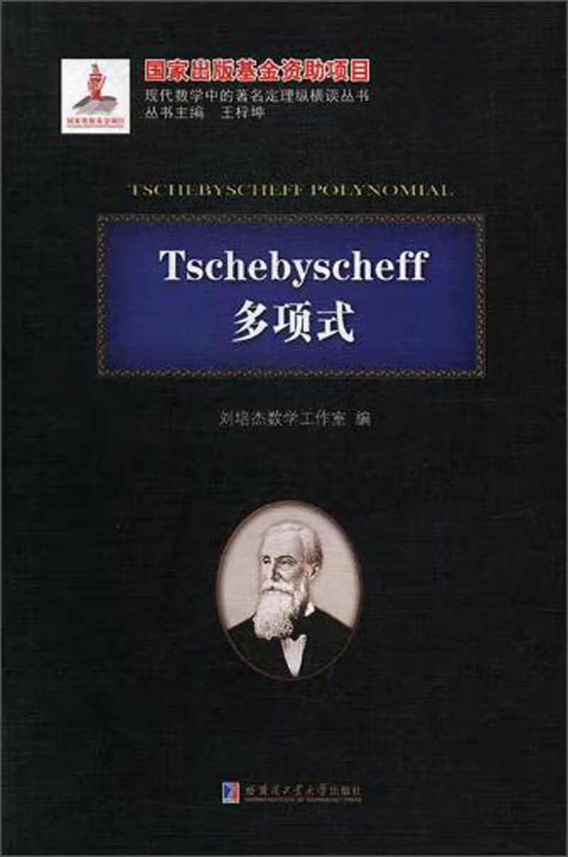 tschebyscheff多项式 现代数学中的著名定理纵横谈丛书【正版书籍