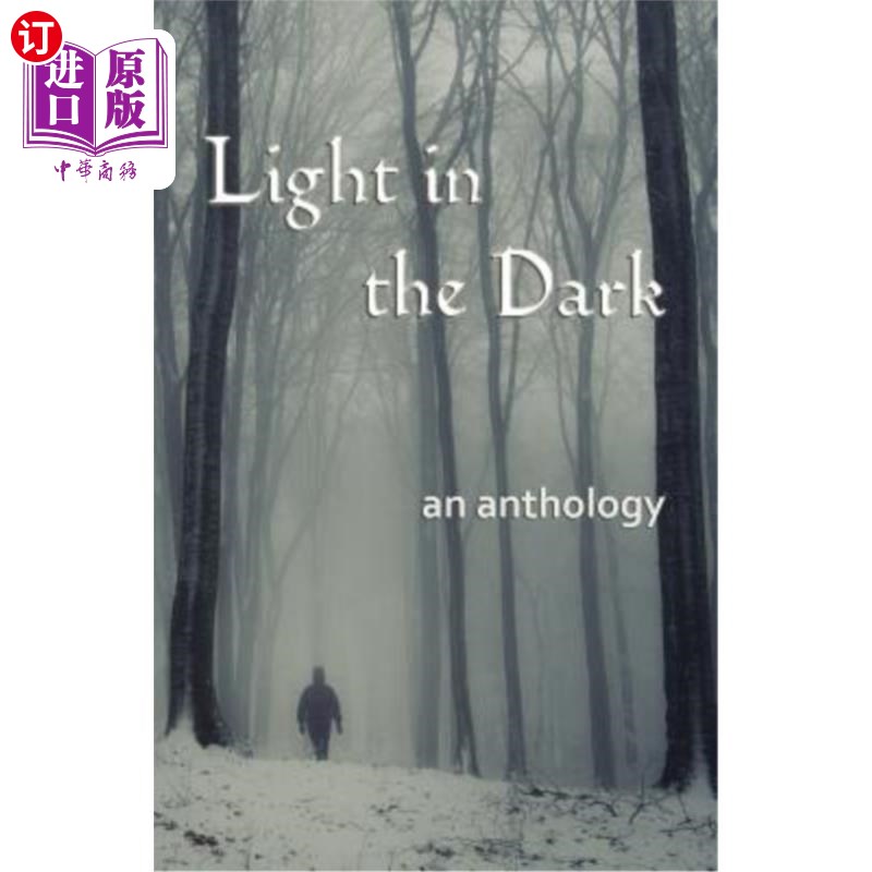 海外直订light in the dark 黑暗中的光明