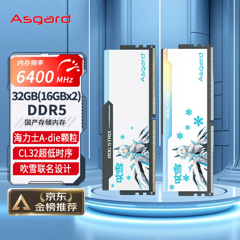 阿斯加特（Asgard）32GB(16GBx2)套 DDR5 6400 台式机内存 RGB灯条-吹雪联名款