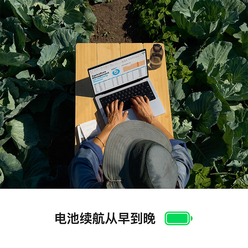 配图3