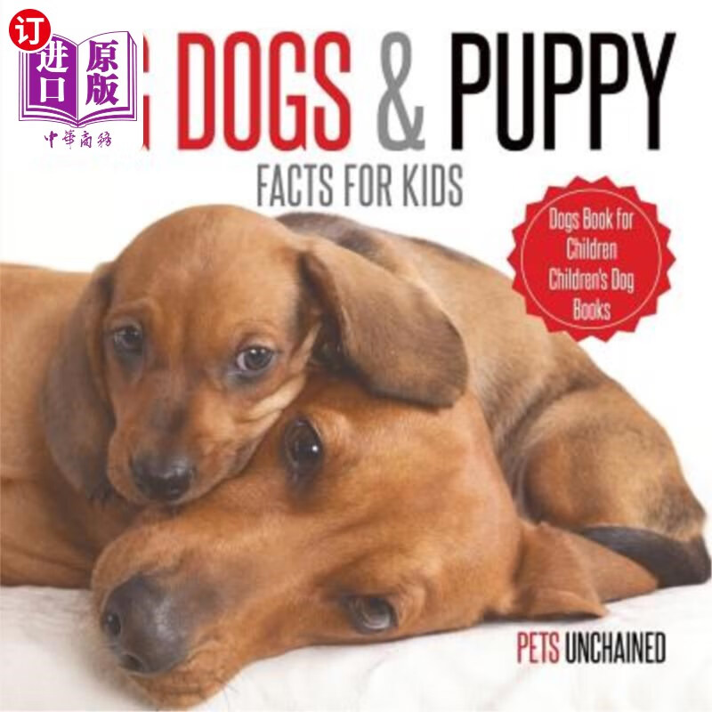 for children childrens dog  大狗和小狗的事实儿童狗书儿童狗书