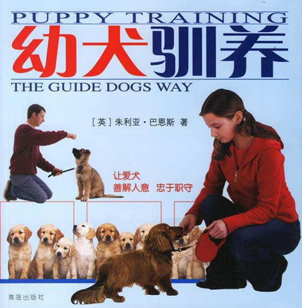 幼犬驯养