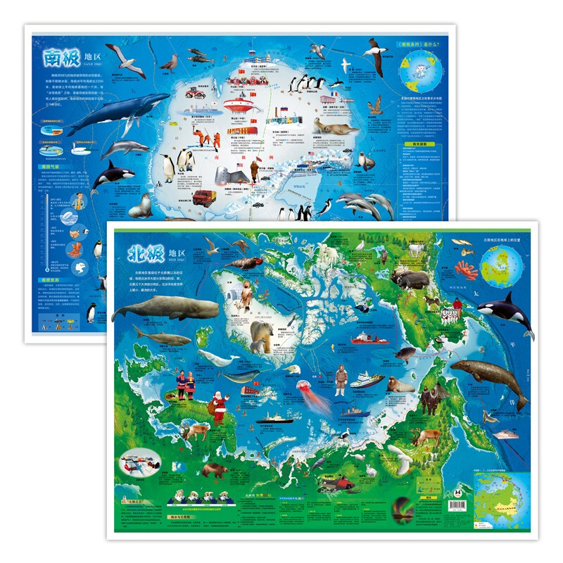 【2021新版 2张装】南极地图 北极地图 地理百科知识 儿童地理百科