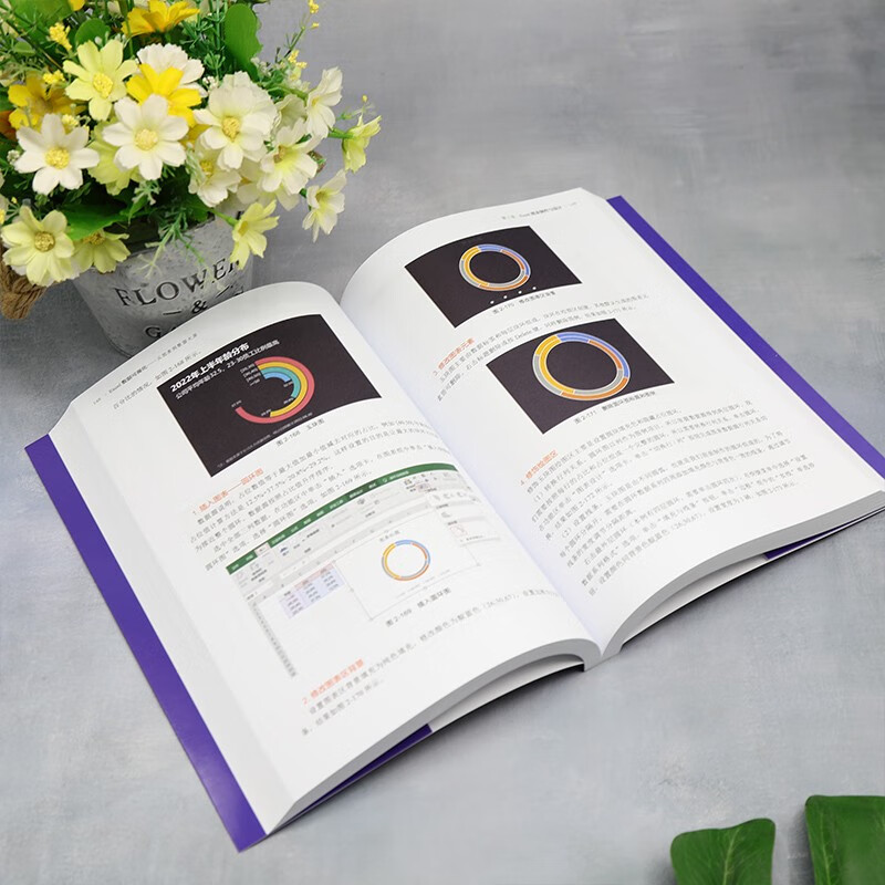 Excel数据可视化——从图表到数据大屏