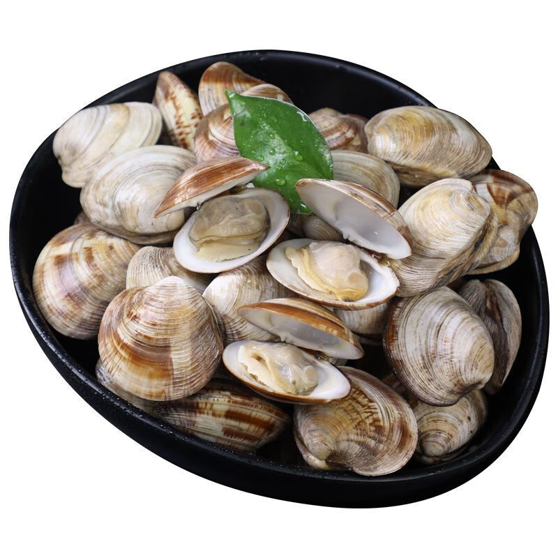 鲜活花蛤肉无沙花甲美贝蛤蜊黄蚬子无沙海鲜水产批发 五斤【鲜活大个