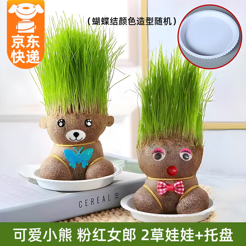 头上长草儿童种植小盆栽种草绿植观察植物生长幼儿园 长草小熊 粉红