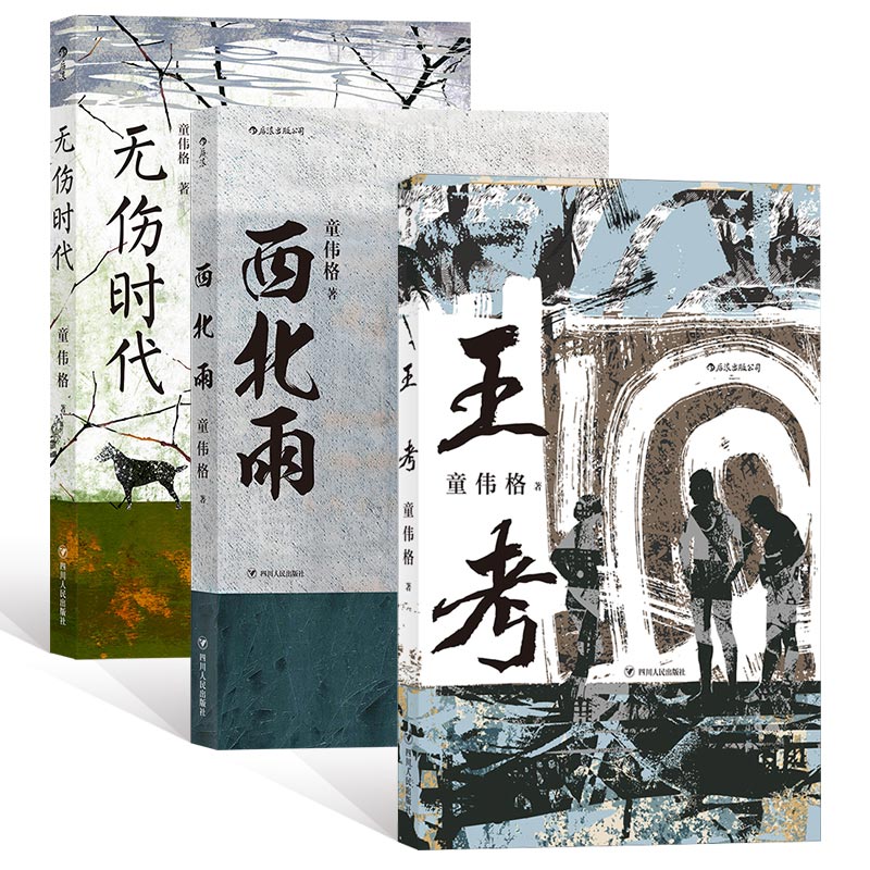 童伟格集:王考+无伤时代+西北雨(套装共