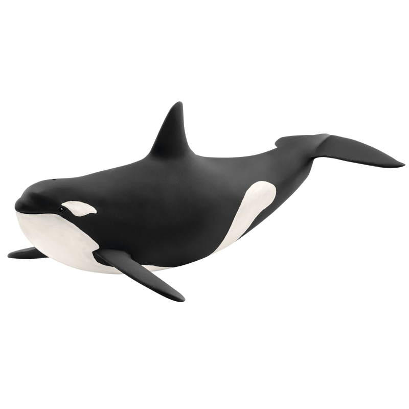 思乐仿真动物模型海洋动物玩具  鲨鱼鲸鱼海洋生物玩具儿童玩具 虎鲸14807 59.1元
