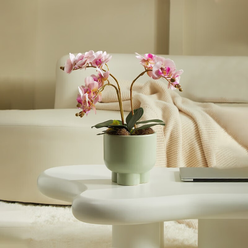 森空间仿真蝴蝶兰室内客厅桌面装饰假花莫兰迪奶油风绿植摆件花卉