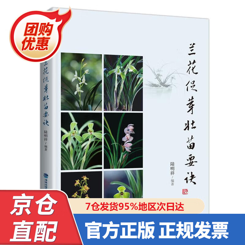 【新书正版】兰花促芽壮苗要诀 9787533560072 陆明祥 福建科学技术出版社