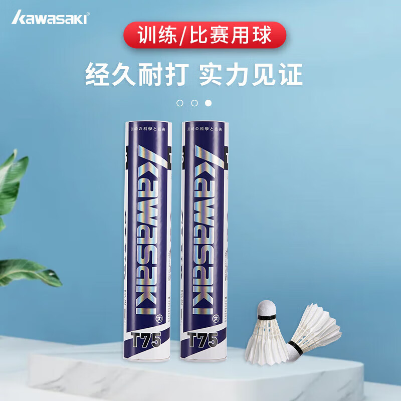 川崎（KAWASAKI）羽毛球耐打专业比赛训练鸭毛球10个装T75