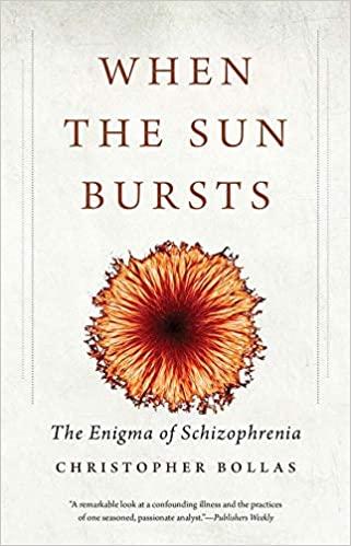 预订 when the sun bursts: the enigma of schizophrenia
